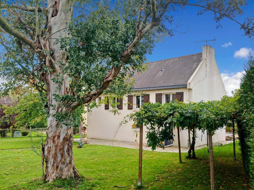 Maison à CHATEAUBRIANT