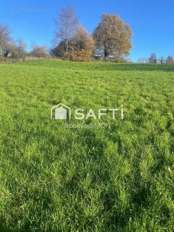 Photo 4 - Terrain à BEUTIN