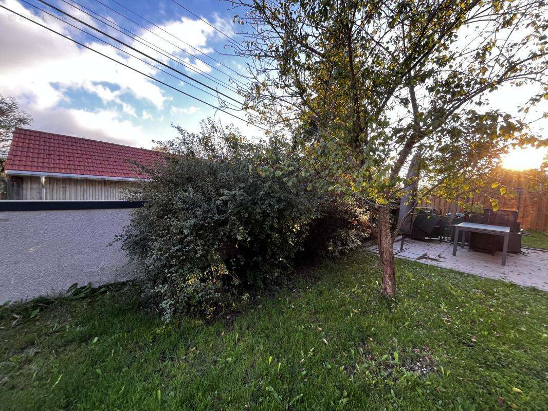 Maison à OYE-ET-PALLET