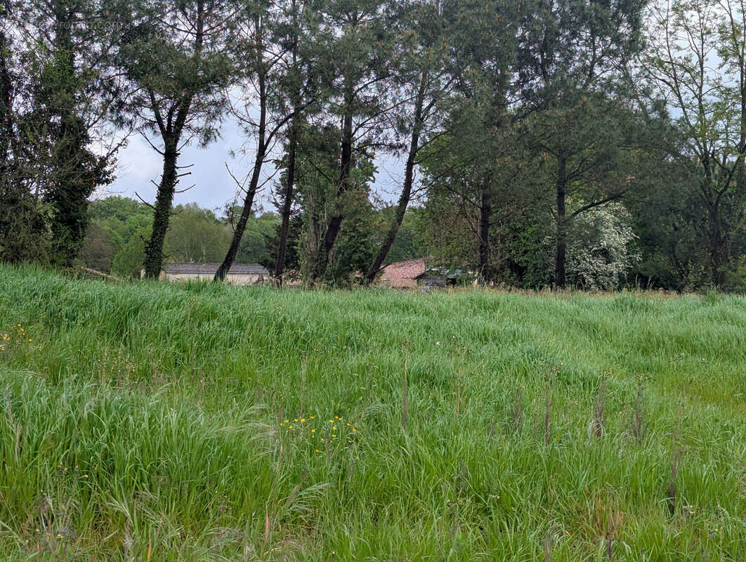 Terrain à SAINT-SIMON-DE-BORDES