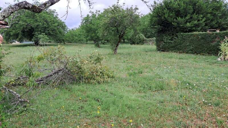 Maison à vendre 5 pièces Pechs de l'Espérance (24) - photo 14