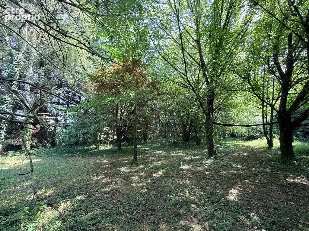 St christoly maison pierre sur 5700 m2 - photo 4
