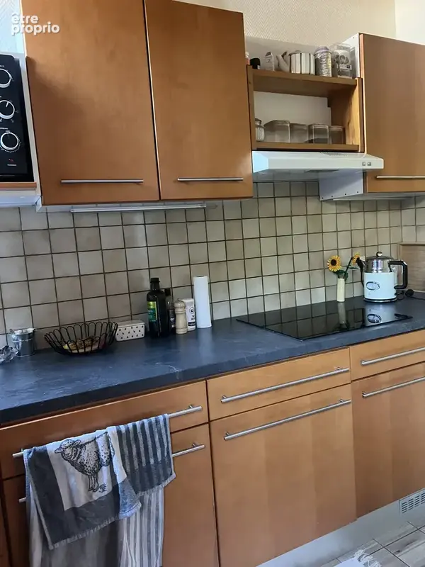 Ensemble de 4 appartements en mono propriété - photo 4