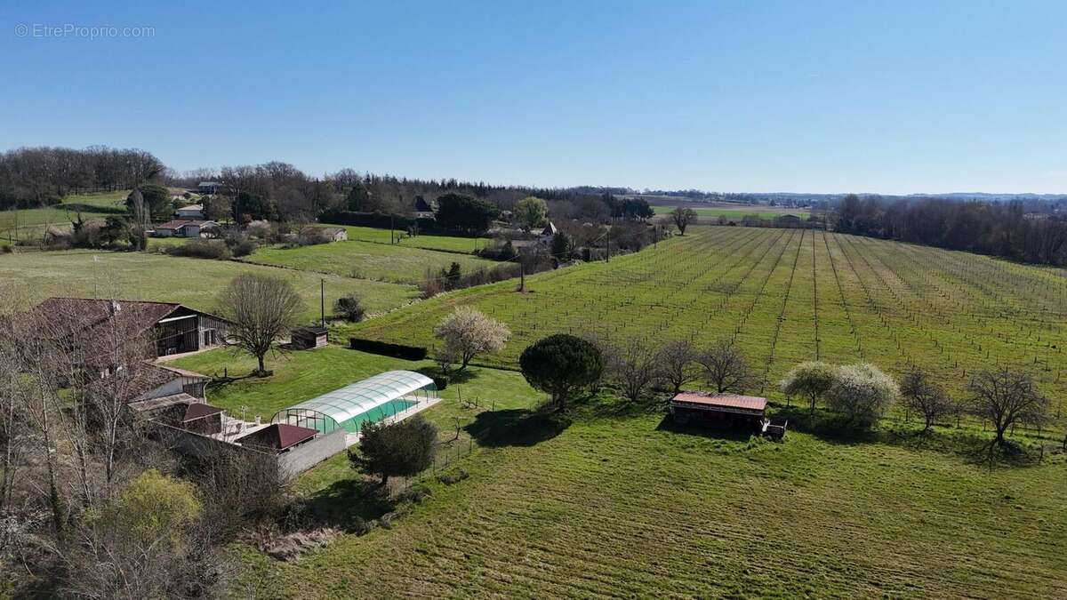Photo 5 - Maison à MIRAMONT-DE-GUYENNE
