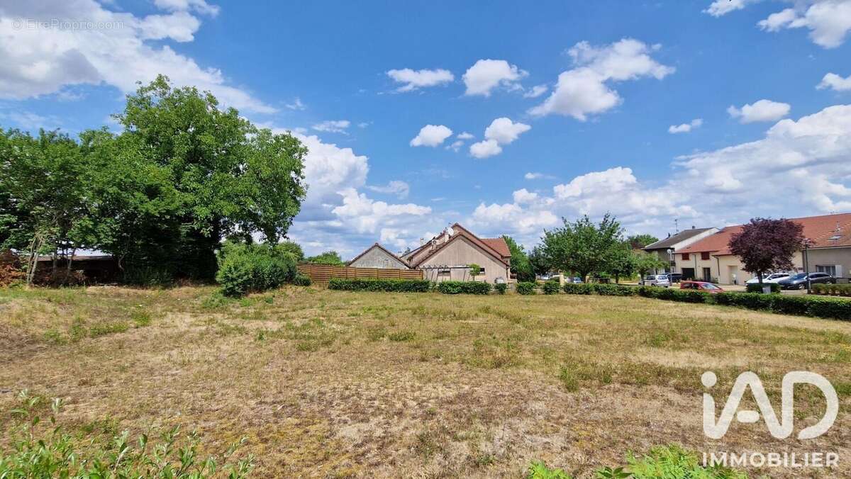 Terrain 868 m² à Ville-Sur-Yron  - photo 4