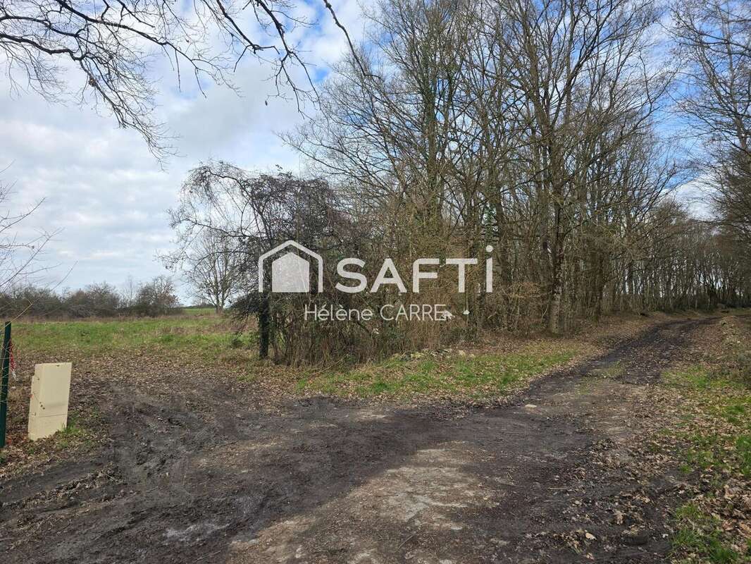 Photo 4 - Terrain à VIERZON