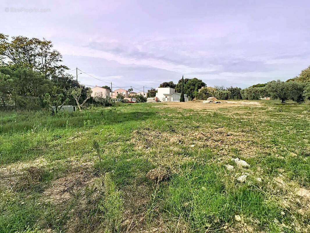 Terrain à LA FARE-LES-OLIVIERS