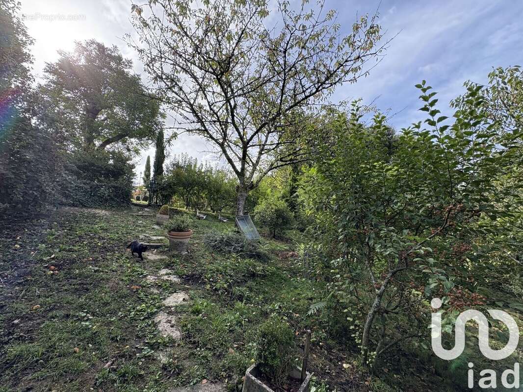 Photo 4 - Terrain à VILLEFRANCHE-DE-LONCHAT