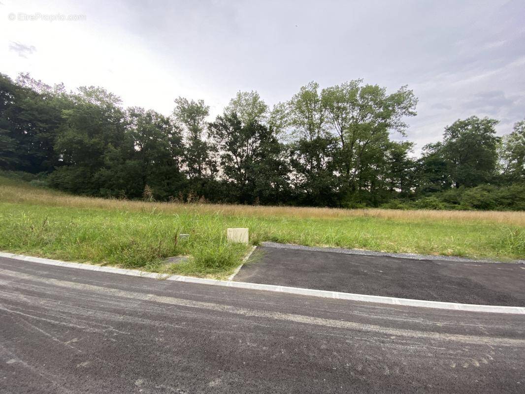 Terrain à CAUNEILLE