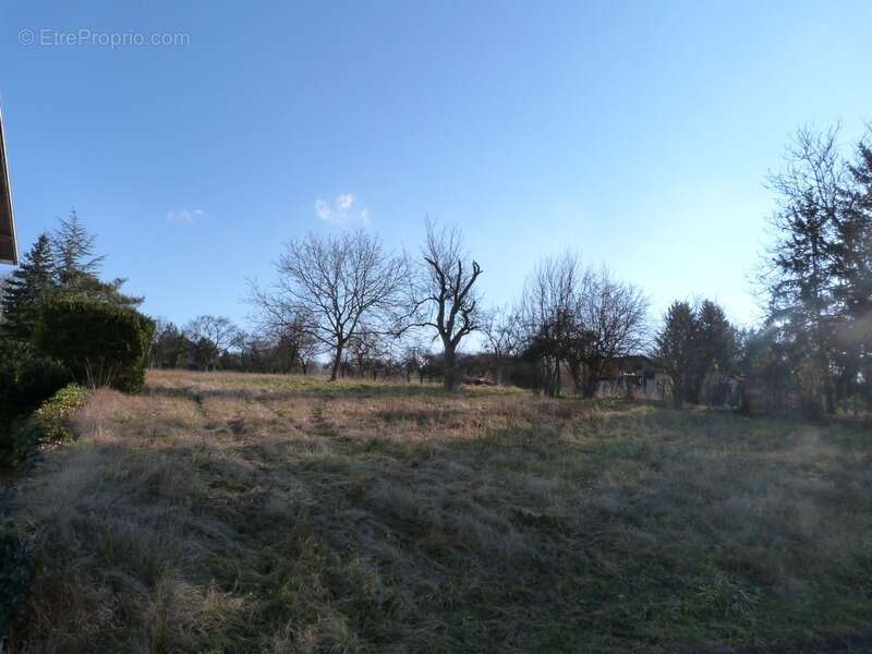 Dpt Moselle (57), à vendre proche de SARREGUEMINES terrain - Terrain de 779,00 m² - photo 6