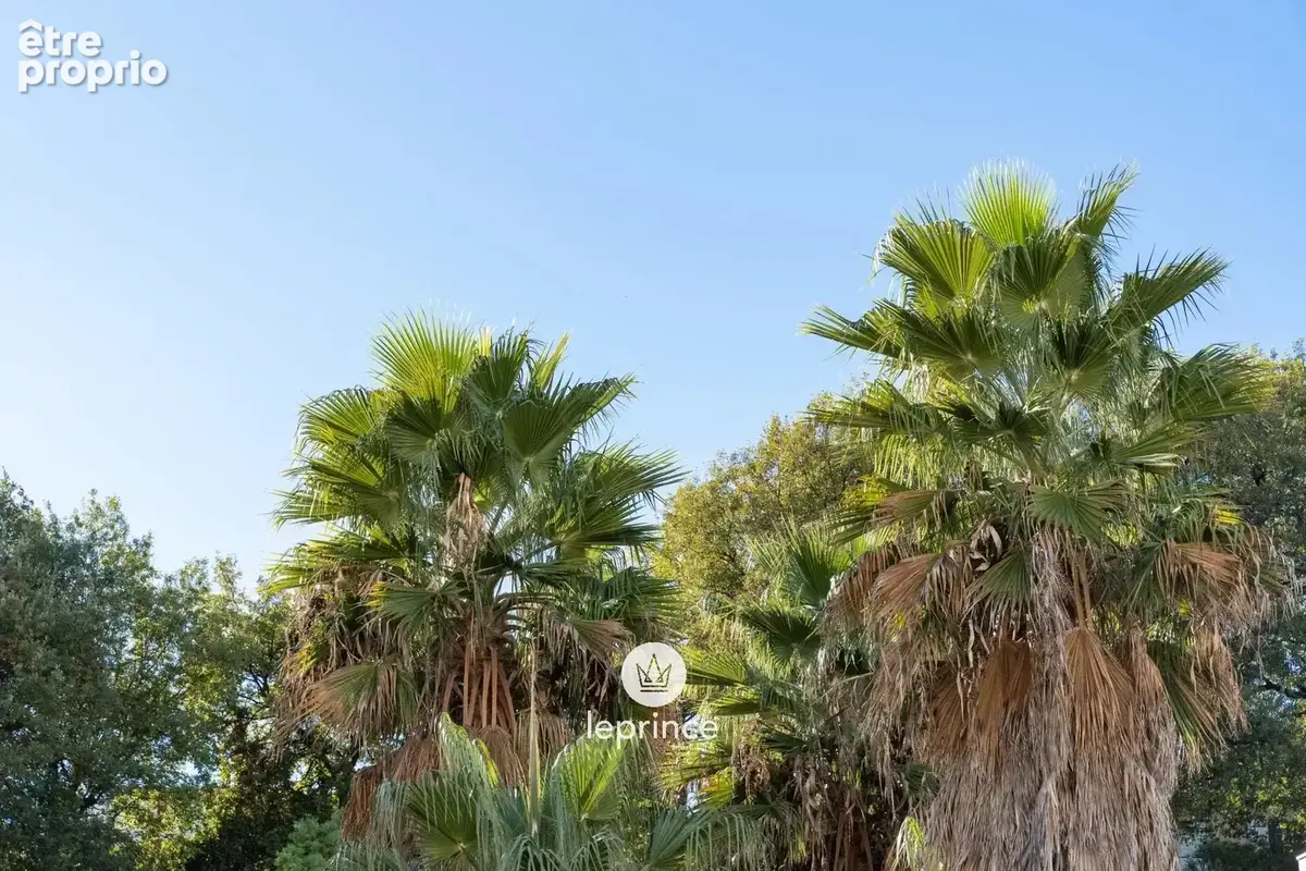 Cagnes-sur-Mer - 3 Pièces Terrasse - vue Jardin - photo 2