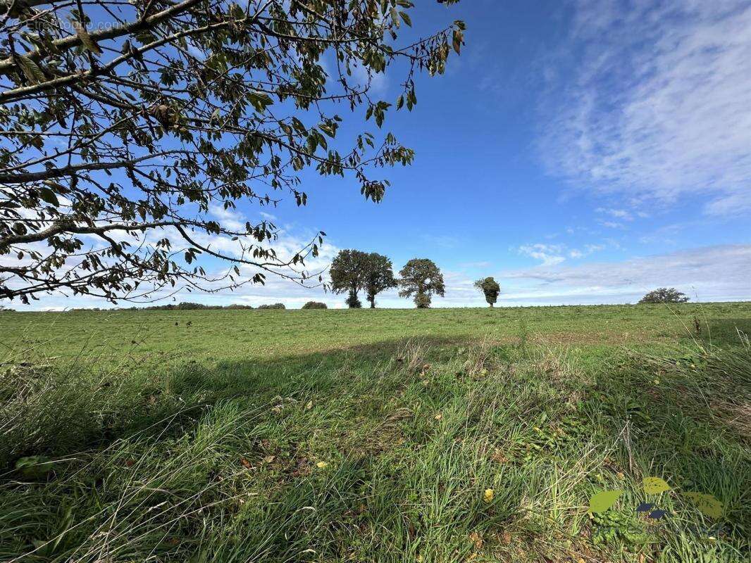Maison à SAINT-LEONARD-DE-NOBLAT