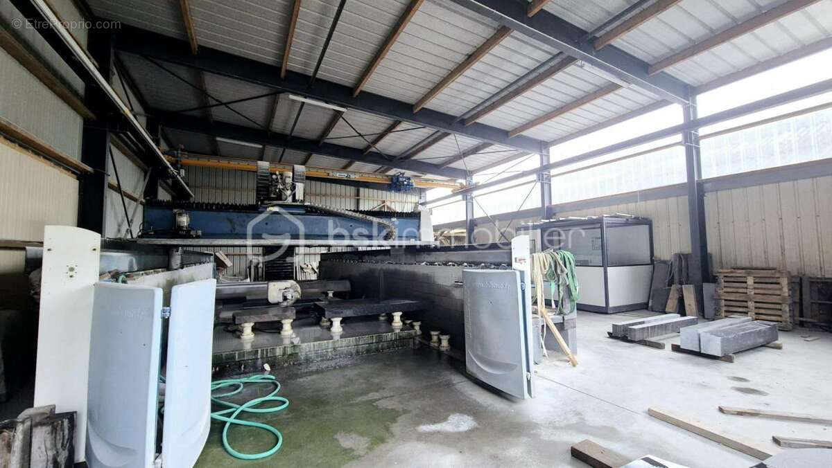 Commerce à SAINT-GERMAIN-EN-COGLES