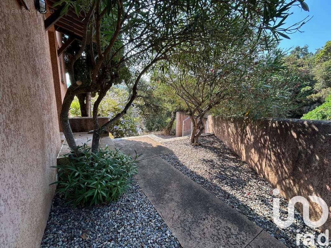 Photo 7 - Maison à PIETROSELLA