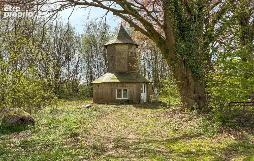 1236 m² à Sainte-Genevieve  - photo 3