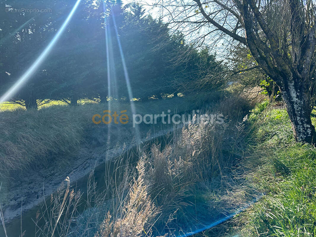 Maison à GOUVILLE-SUR-MER