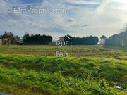 Terrain à THURAGEAU