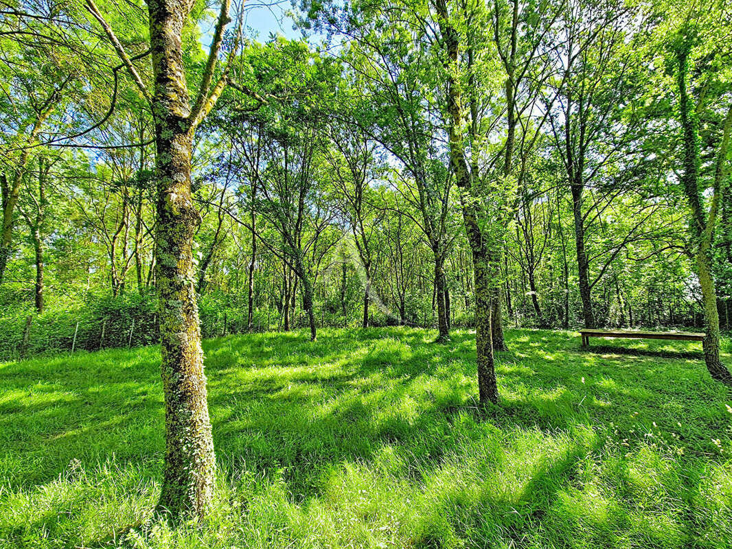Terrain à CHAVAGNES