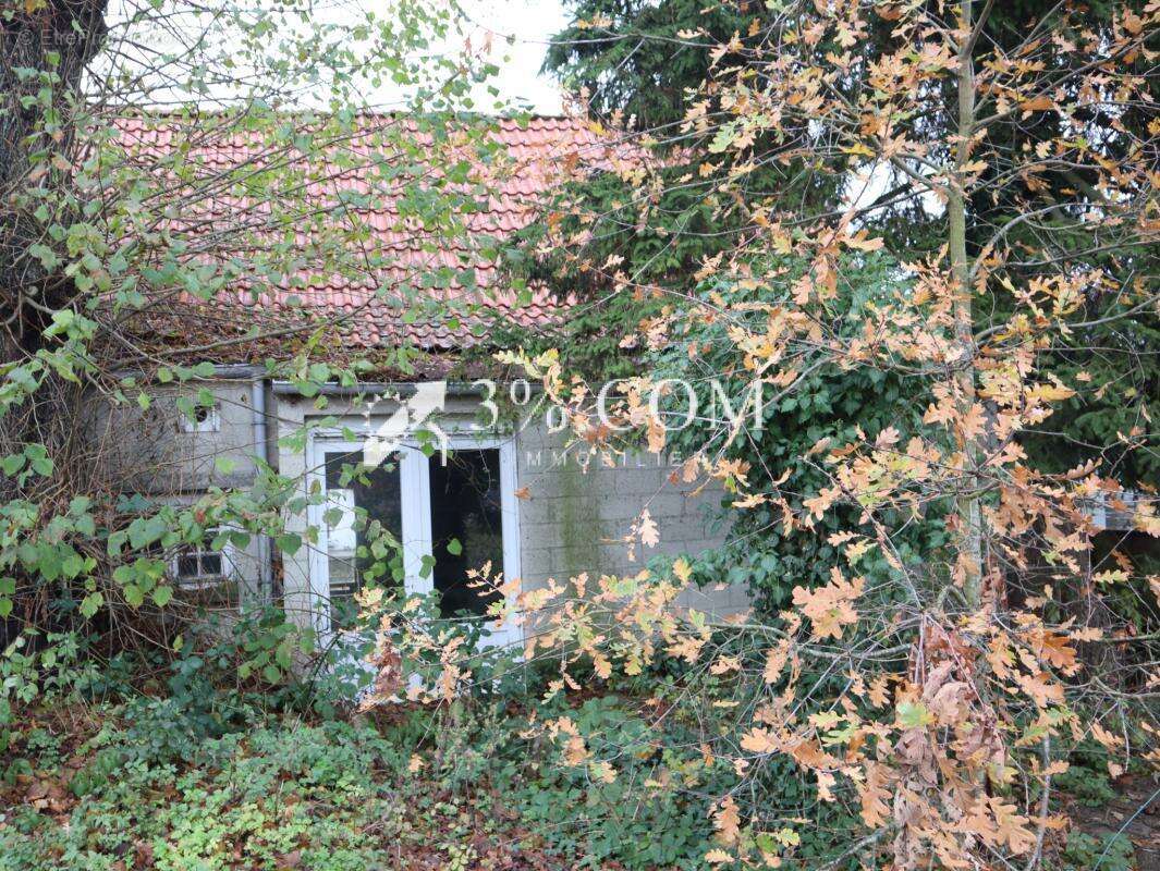 Terrain à PHALEMPIN