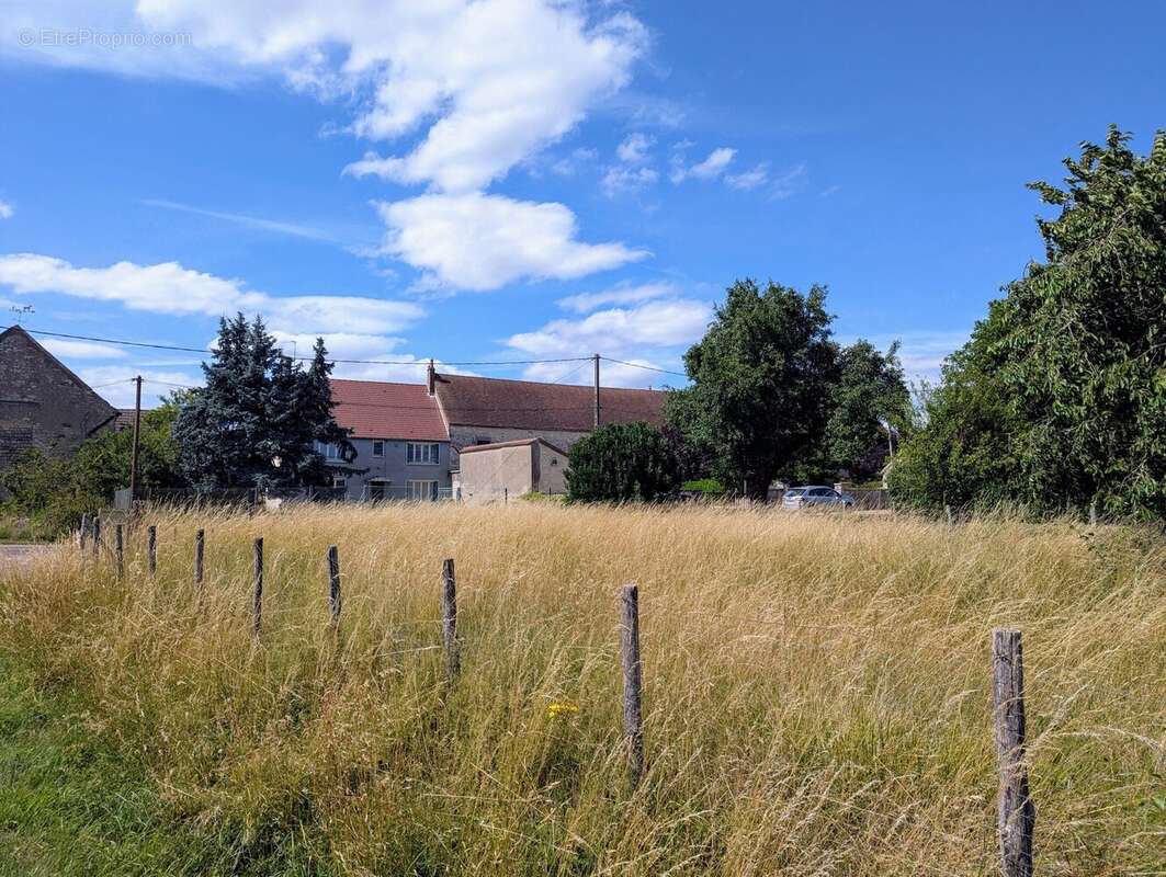 jardin de l\'autre côté de la route - Maison à MAILLY-LA-VILLE