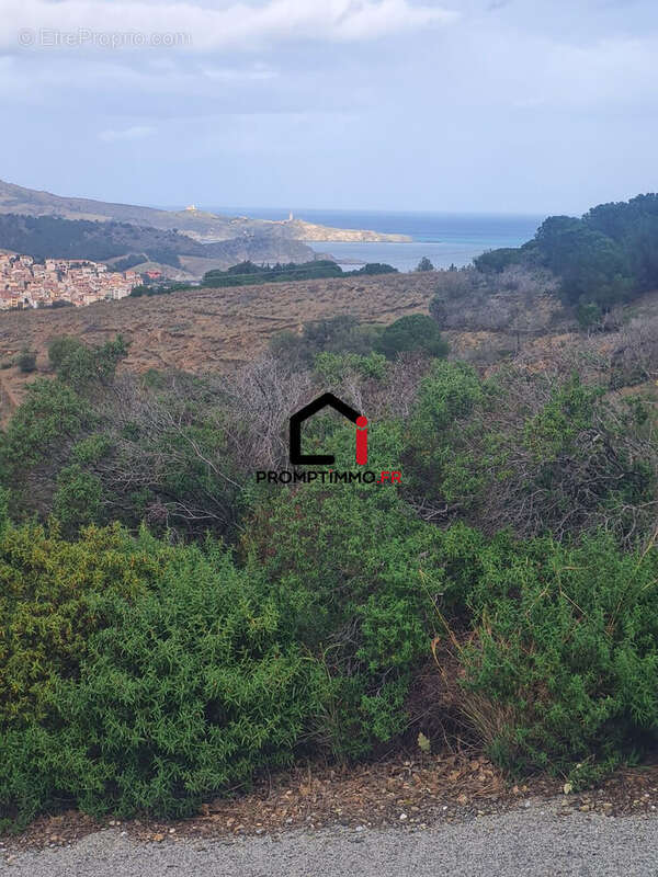 Terrain à BANYULS-SUR-MER