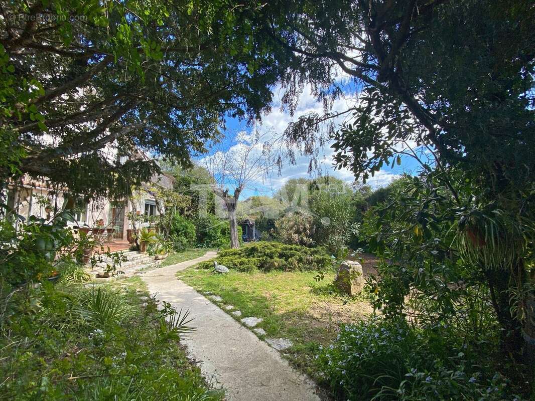 Maison à SETE
