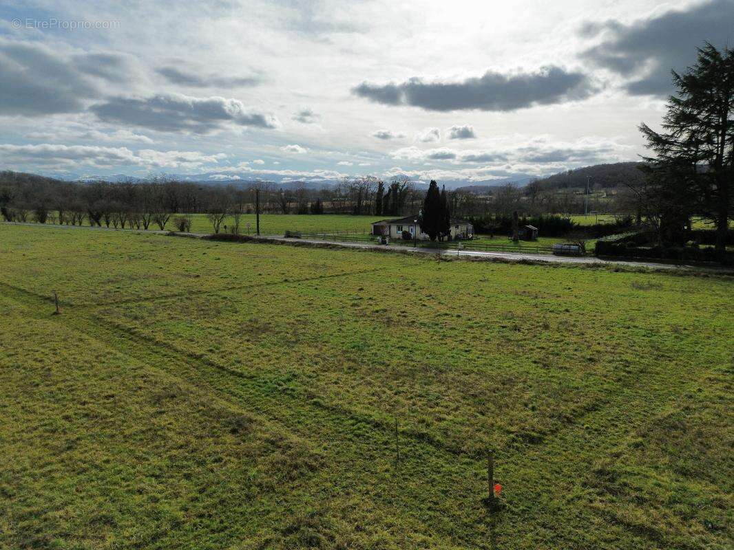 Terrain à SAUVETERRE-DE-BEARN