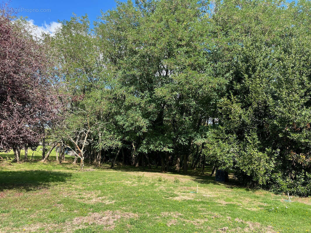 Maison à LIGNAN-DE-BORDEAUX