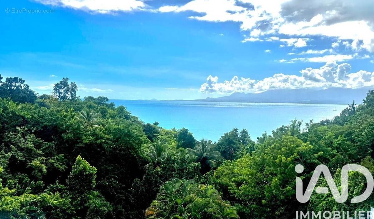 Photo 1 - Appartement à LE GOSIER