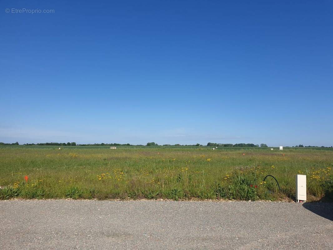Terrain à BOURGNEUF