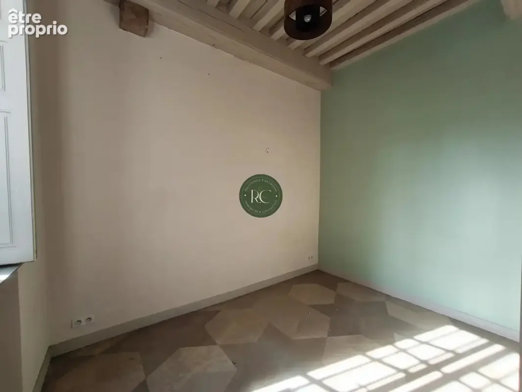 Dijon appartement hotel particulier antiquaires - photo 6
