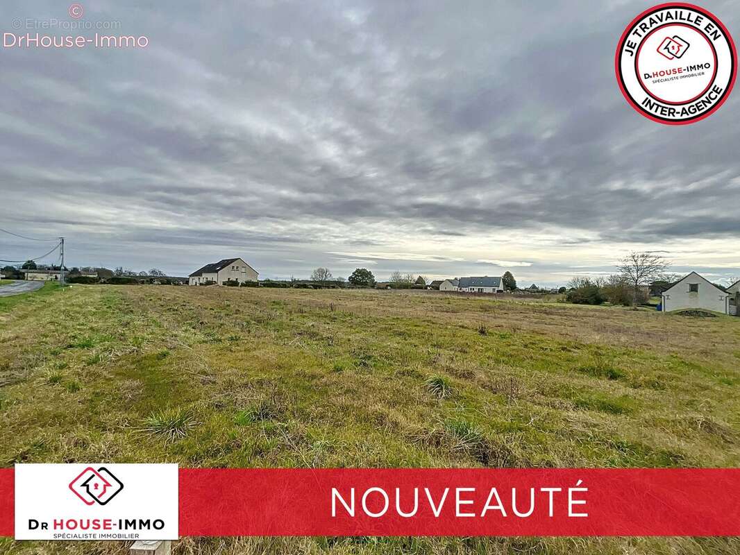 Terrain à CHATEAU-LA-VALLIERE