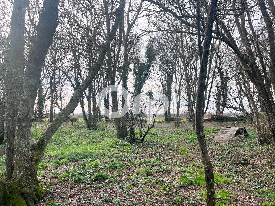 Maison à SAINT-LAURENT-DE-LA-PREE