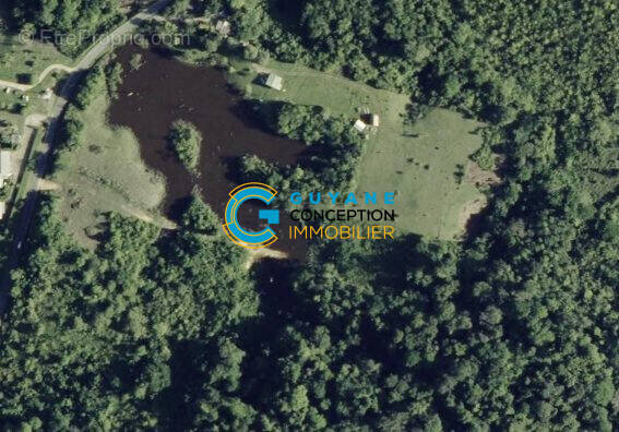 Terrain à SAINT-LAURENT-DU-MARONI