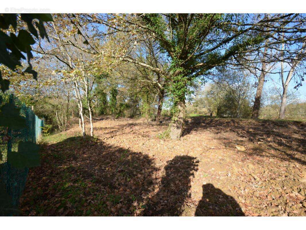 Terrain à PORCHERES