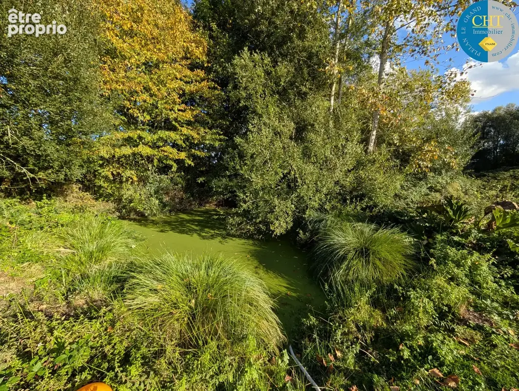 A vendre ÉTANG ET SOURCE sur parcelle d'1,50 hectare À MERNEL (35330) AVEC CHT IMMOBILIER - photo 16