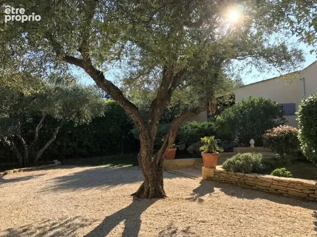 Maison À Vendre - photo 4