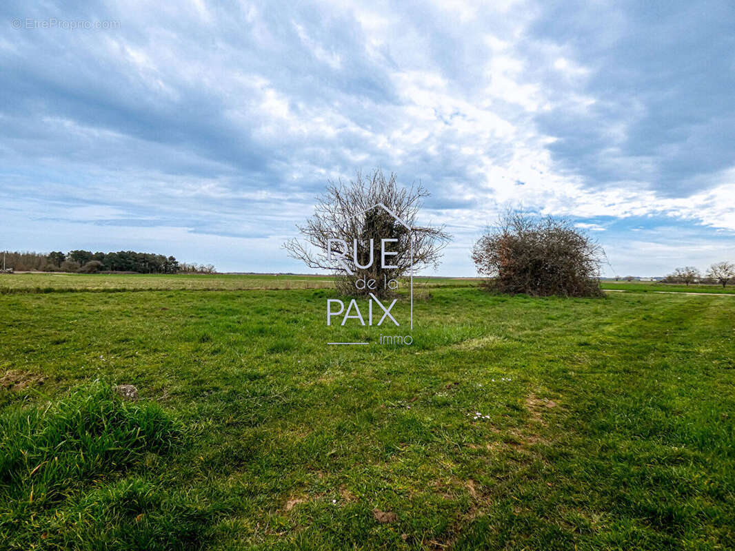 Terrain à SAINT-CLAIR