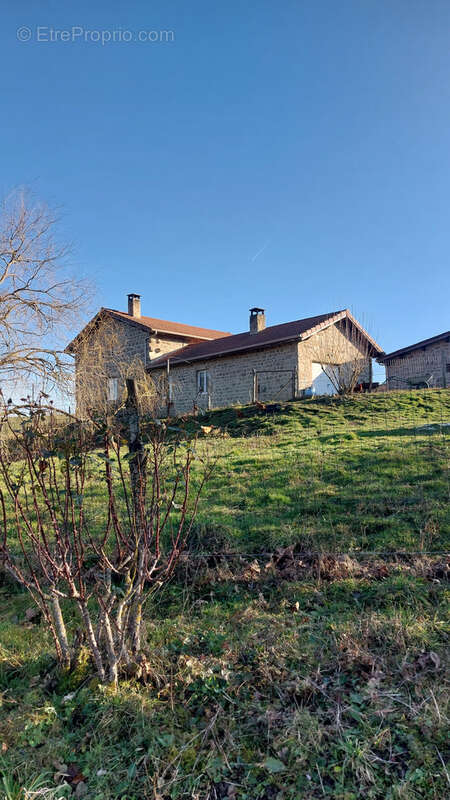 Maison individuelle en pierre et batiment ferme auberge - photo 29