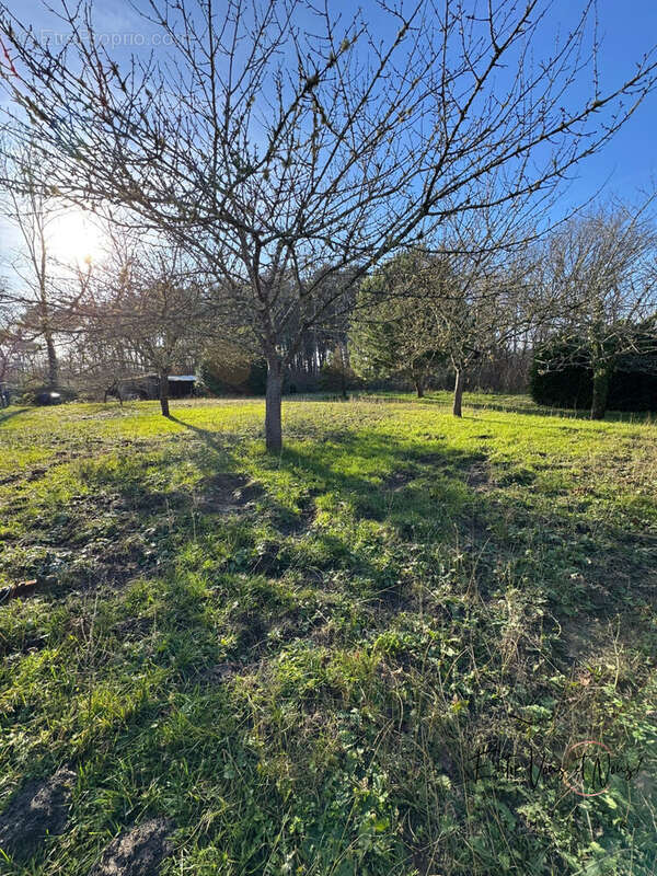 EXTÉRIEUR - Maison à BAZAS