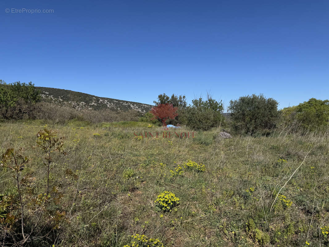Terrain à SAINT-JEAN-DE-FOS