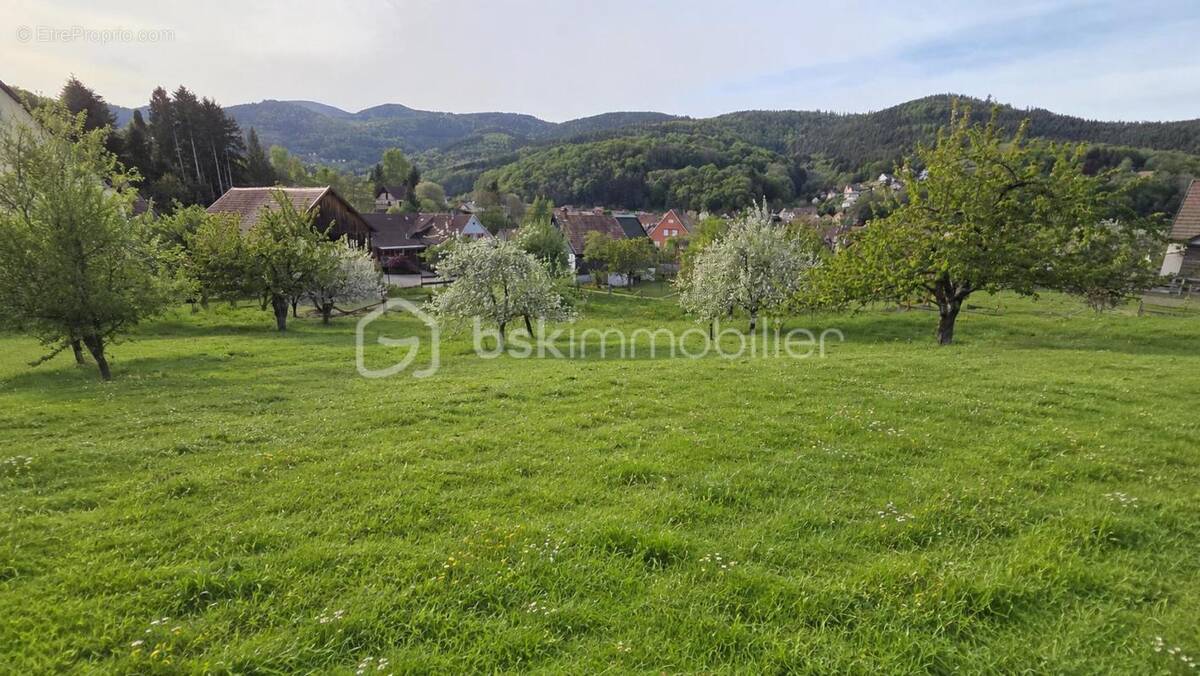 Terrain à BREITENBACH-HAUT-RHIN