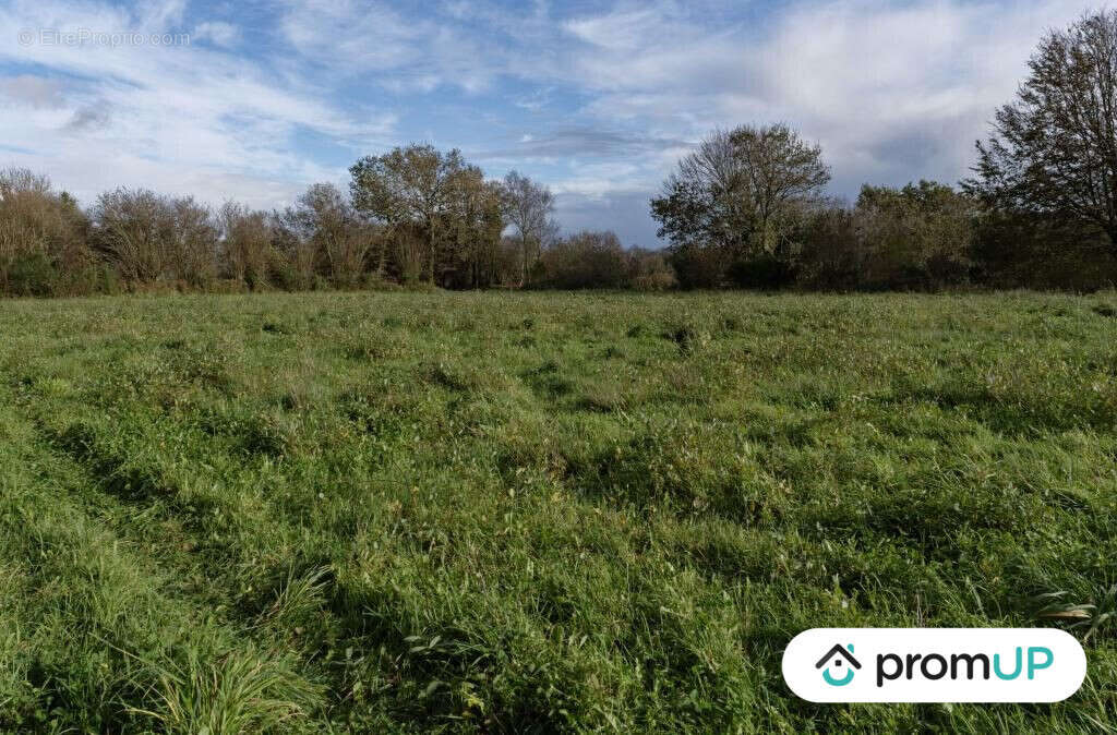 Terrain à LOQUEFFRET