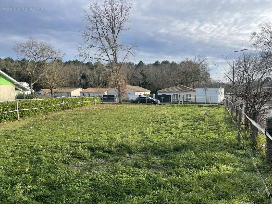 Terrain à SAUCATS