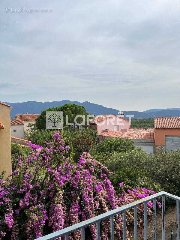 Appartement à BANYULS-DELS-ASPRES