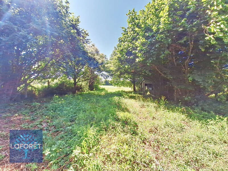 Maison à SAINT-AUBIN-D'AUBIGNE