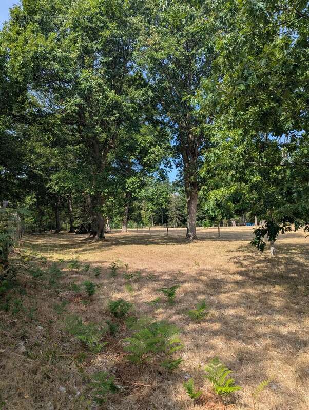 Maison de 218 m² sur une superbe parcelle de 15 948 m² - photo 18