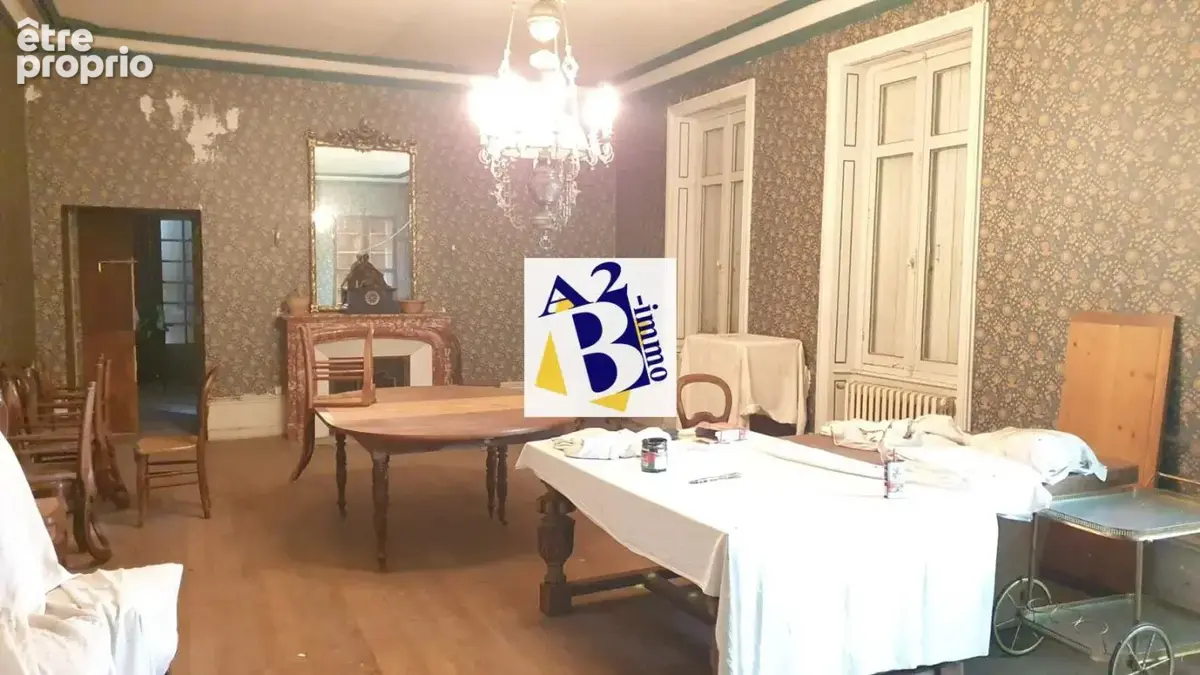 10 Min Cognac, Maison de Maitre à rénovée, dépendances - photo 19