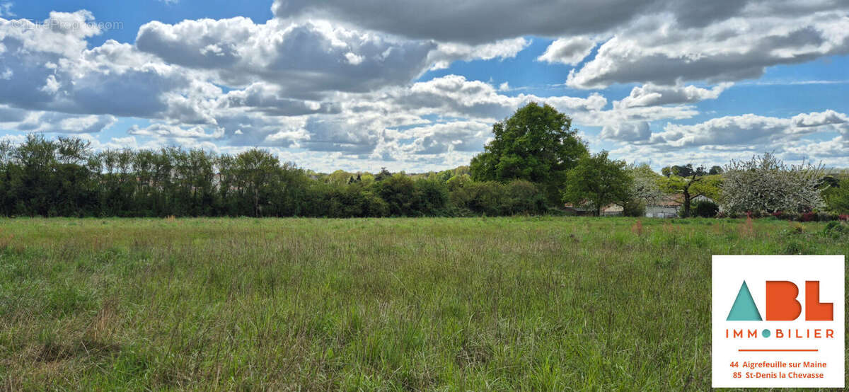 Terrain à CHAVAGNES-EN-PAILLERS