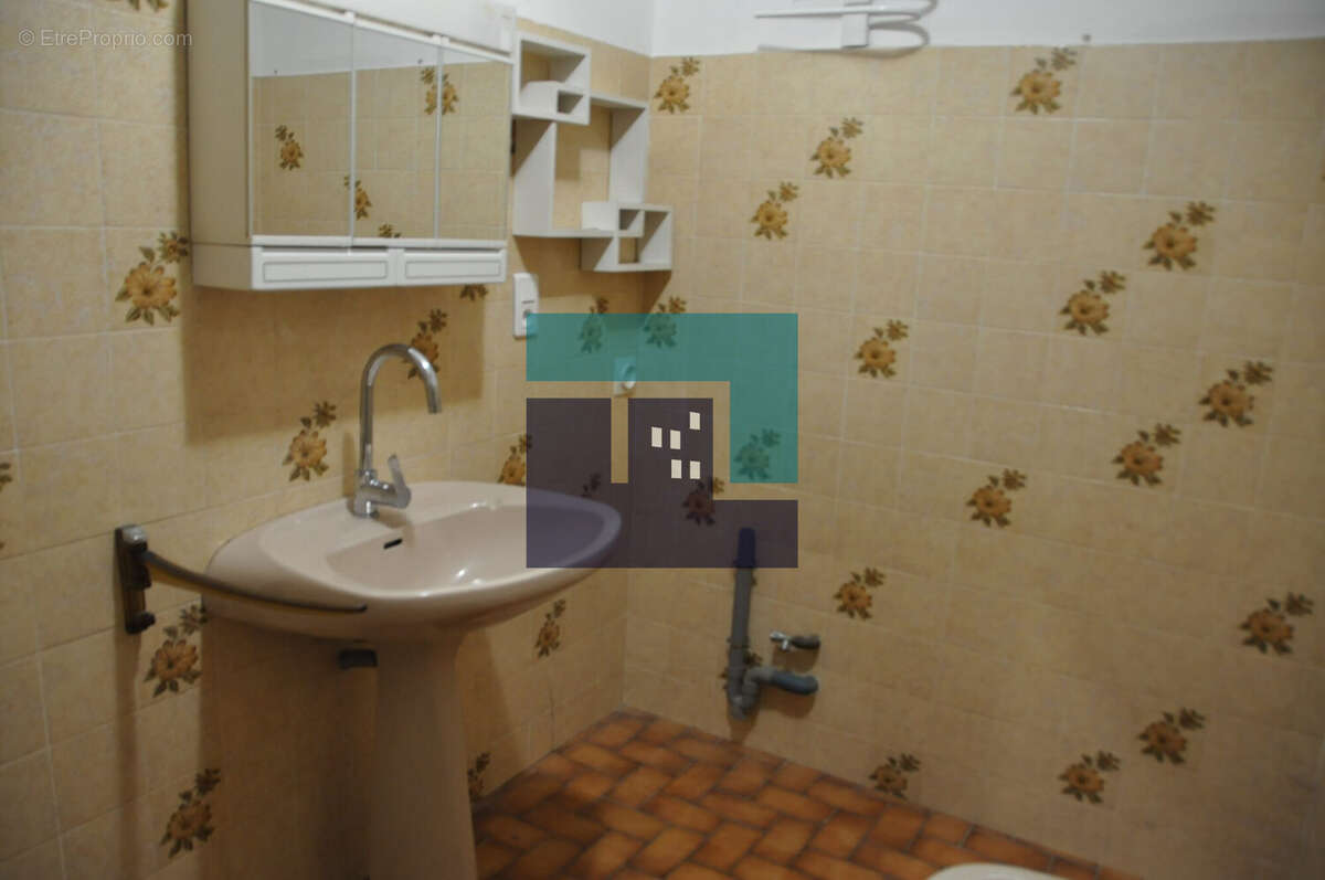 SALLE D'EAU - Maison à MONTOLIEU